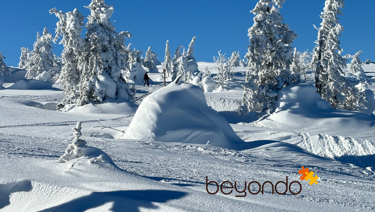 Winter in Sweden
