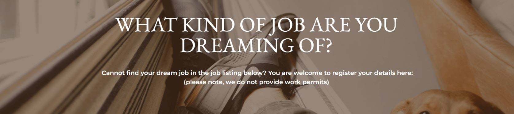 what kind of dream job are you looking for-2