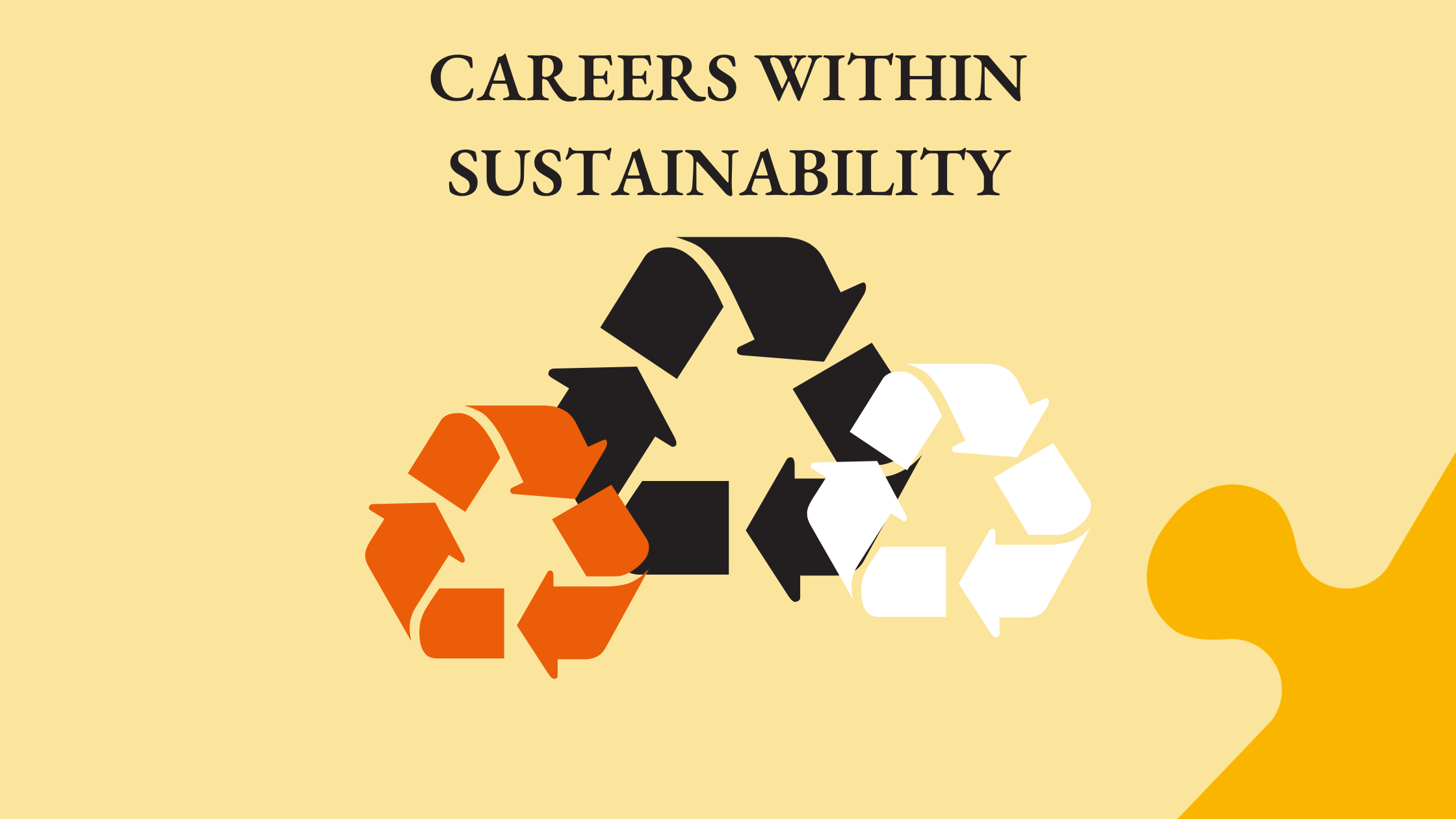 Careers within Sustainability: Roles, Impact, and Language Requirements