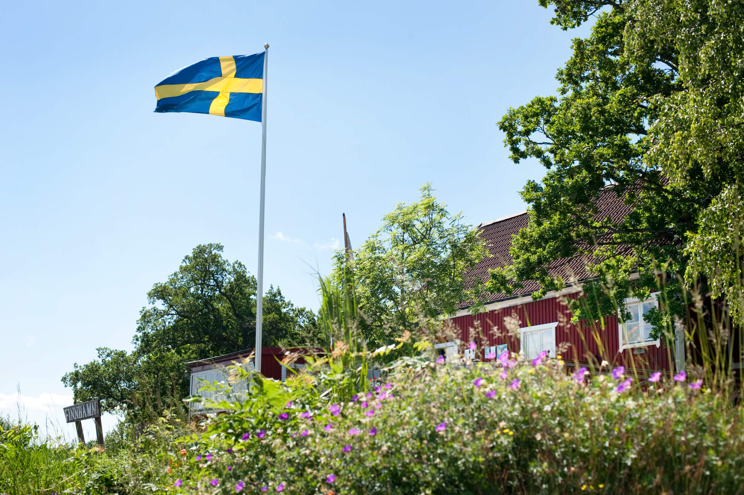 Through the Eyes of a Swedish Homecomer