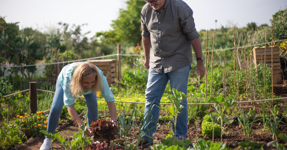 Two people doing garden work