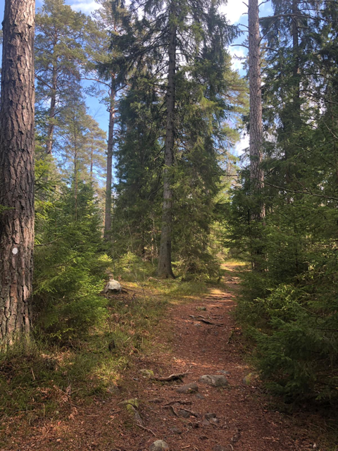 Sweden is known for it's nature.
